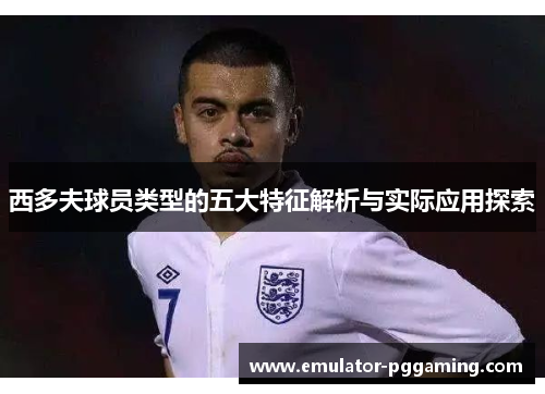 西多夫球员类型的五大特征解析与实际应用探索