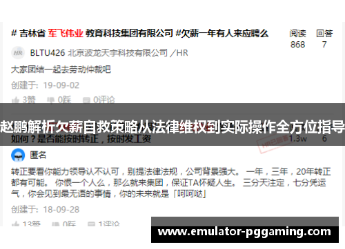 赵鹏解析欠薪自救策略从法律维权到实际操作全方位指导 赵鹏解析欠薪自救策略从法律维权到实际操作全方位指导