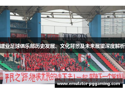 建业足球俱乐部历史发展、文化背景及未来展望深度解析