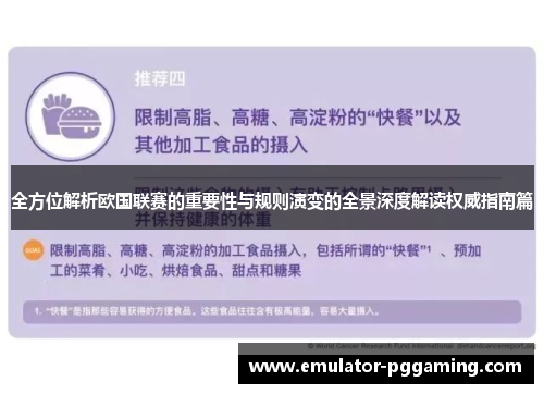 全方位解析欧国联赛的重要性与规则演变的全景深度解读权威指南篇