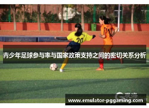 青少年足球参与率与国家政策支持之间的密切关系分析