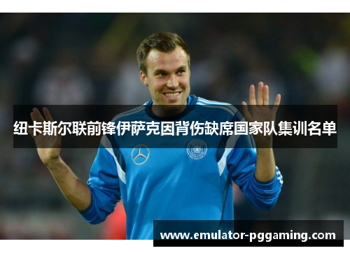 纽卡斯尔联前锋伊萨克因背伤缺席国家队集训名单 纽卡斯尔联前锋伊萨克因背伤缺席国家队集训名单