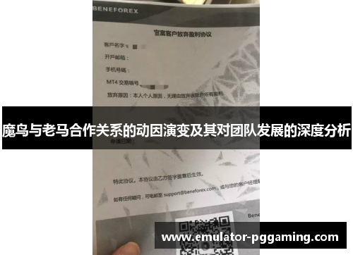 魔鸟与老马合作关系的动因演变及其对团队发展的深度分析