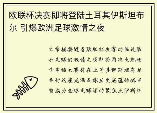 欧联杯决赛即将登陆土耳其伊斯坦布尔 引爆欧洲足球激情之夜